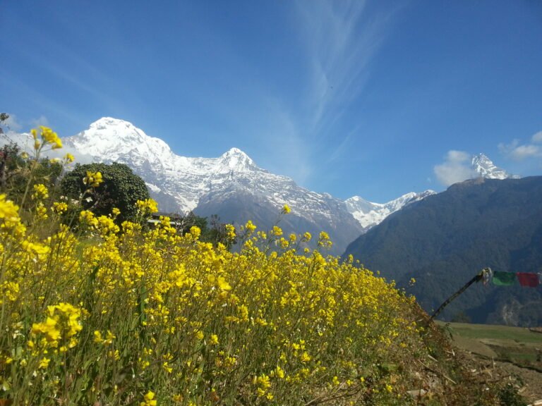 South Annapurna and Himchuli view from Ghandruk Village