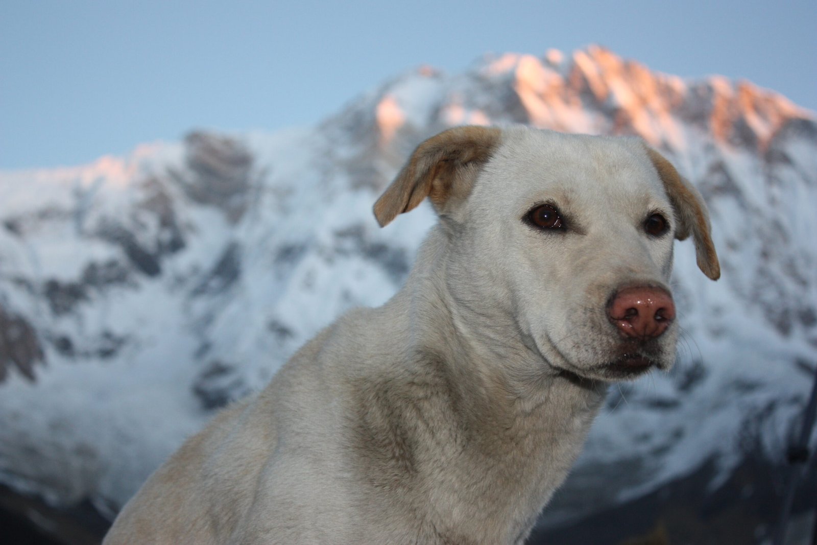 Annapurna Region