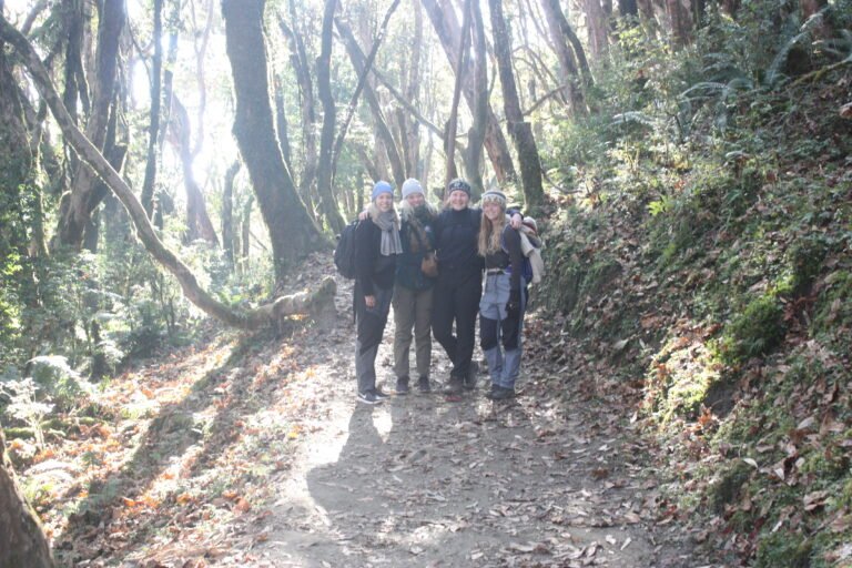 hiking in forest